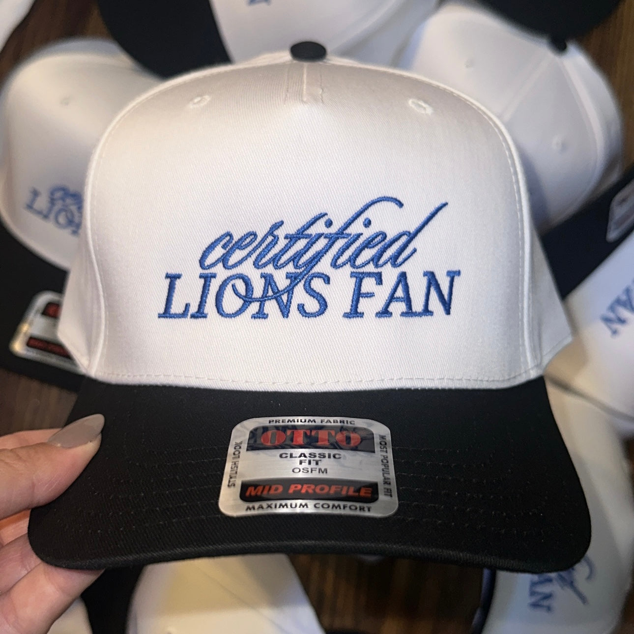 Certified Lions Fan💙